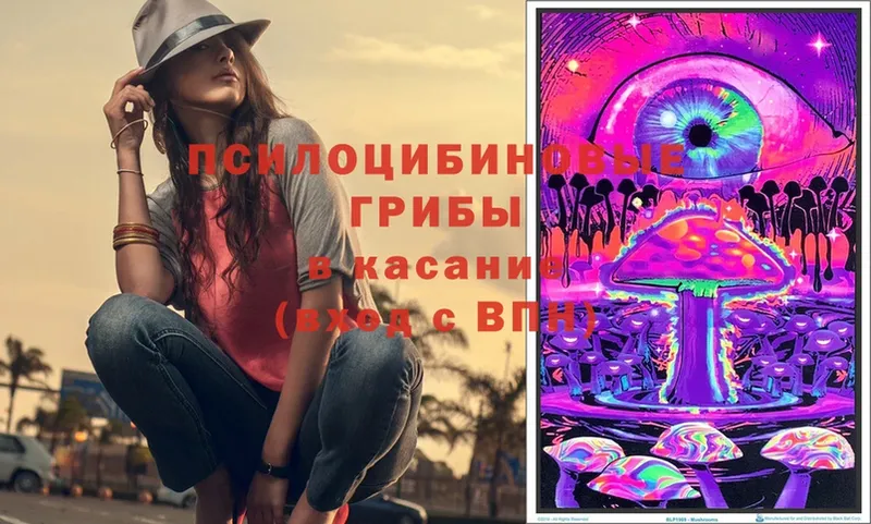 блэк спрут вход  Касимов  Псилоцибиновые грибы Cubensis 